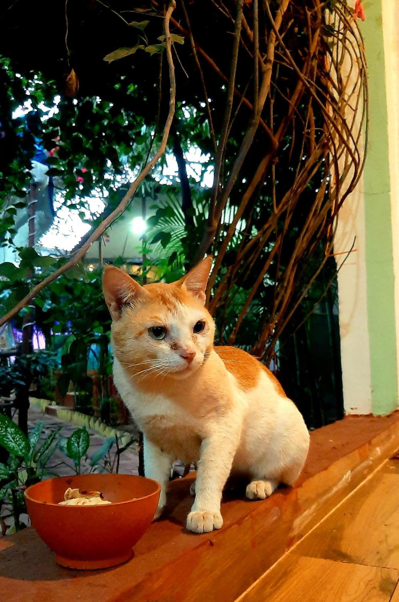 Nature Of อารัมบล ภายนอก รูปภาพ